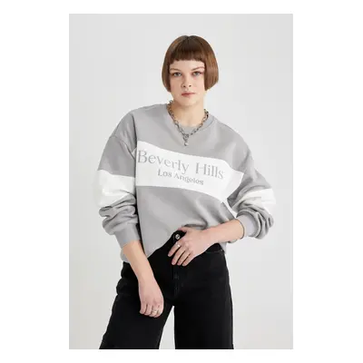 DEFACTO Relax Fit Crew Neck Printed Thick Sweatshirt