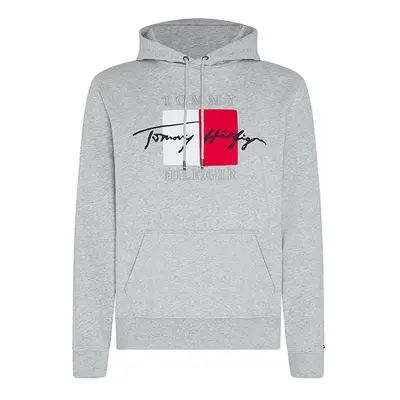 Tommy Hilfiger Sweatshirt - SIGNATURE ARTWORK HOODY grey