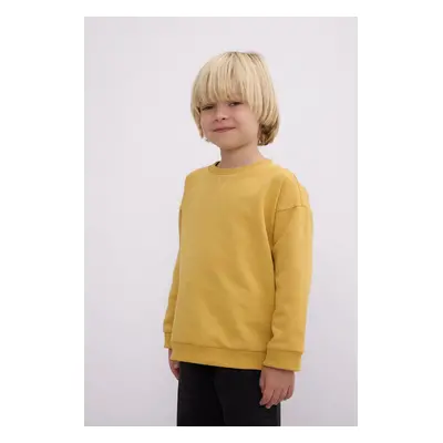 DEFACTO Baby Boy Crew Neck Soft Furry Basic Plain Sweatshirt