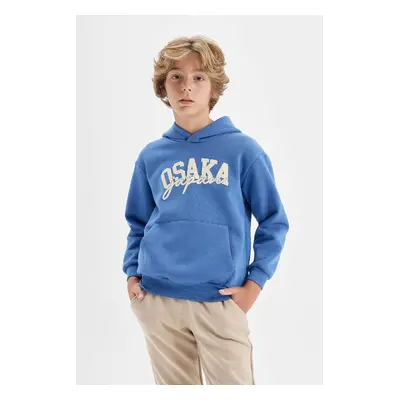 DEFACTO Boy Blue Printed Hooded Pocket Sweatshirt