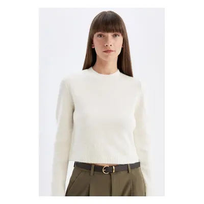 DEFACTO Regular Fit Crew Neck Premium Basic Plain Crop Knitwear Sweater