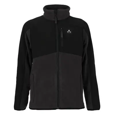 Dětská fleecová bunda Whistler Evo Jr. Fleece Jacket