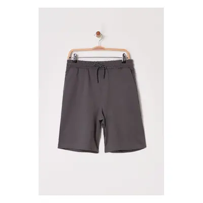 Trendyol Smoke Brown Basic Regular Mid Length/Normal Cut Plain Shorts