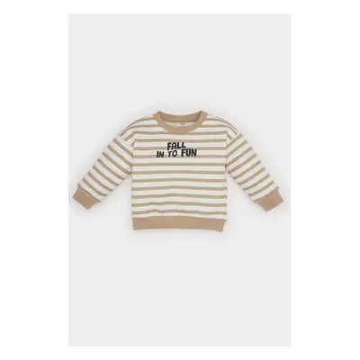 DEFACTO Baby Boy Crew Neck Printed Inside Soft Feather Striped Sweatshirt