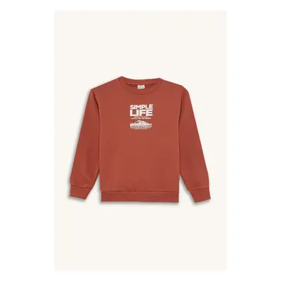 DEFACTO Boy's Crew Neck Printed Soft Furry Sweatshirt