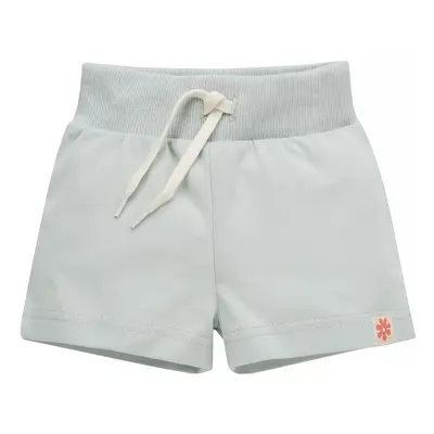 Pinokio Shorts Summer Garden