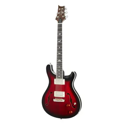 PRS SE Hollowbody Standard FRB