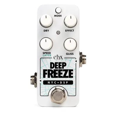 Electro-Harmonix Pico Deep Freeze