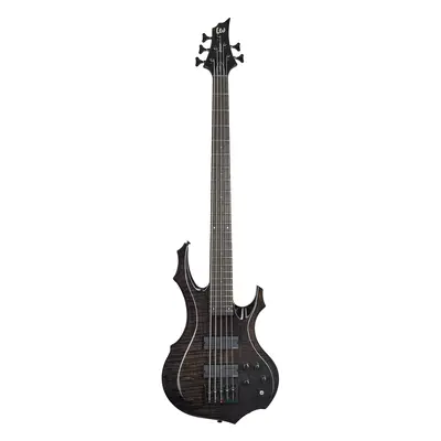 ESP LTD F-1005 FM STBLK