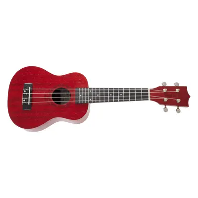 Tanglewood TWT 1 TR