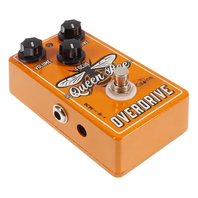 Caline CP-503 Queen Bee Overdrive