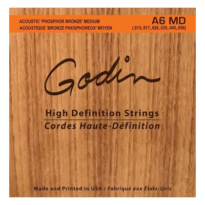 Godin Strings Acoustic Guitar MD