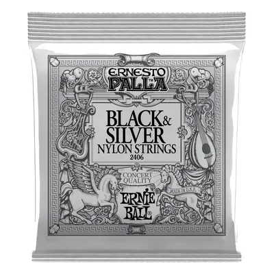 Ernie Ball 2406 Ernesto Palla Black & Silver