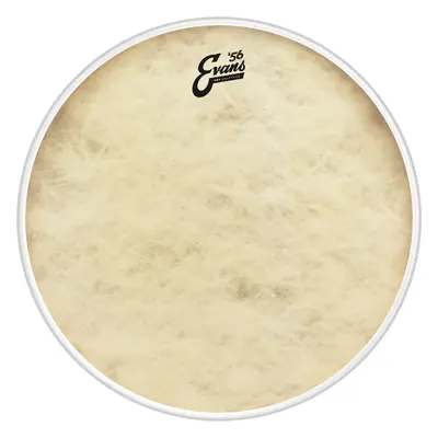 Evans 22" EQ4 Calftone