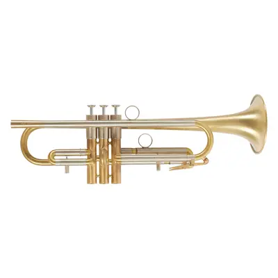 VanLaar Oiram light II Raw Brass