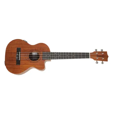 Tanglewood TWT 17 E