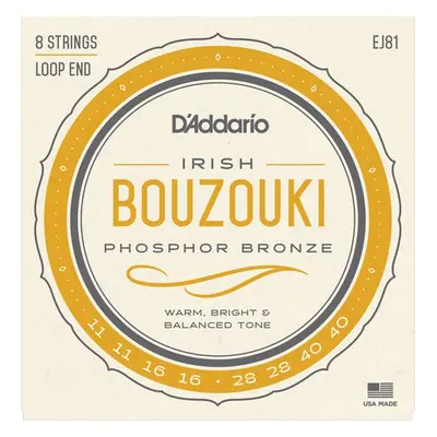 D'Addario EJ81