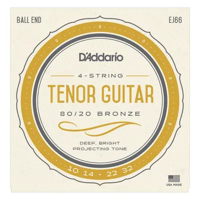 D'Addario EJ66