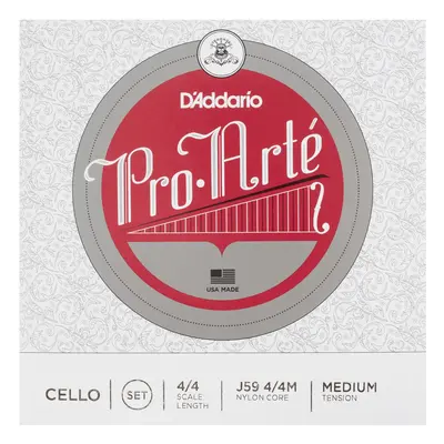 D'Addario Pro-Arte vcl 4/4 M