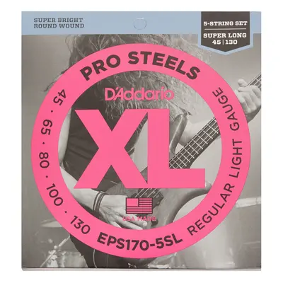 D'Addario EPS170-5SL