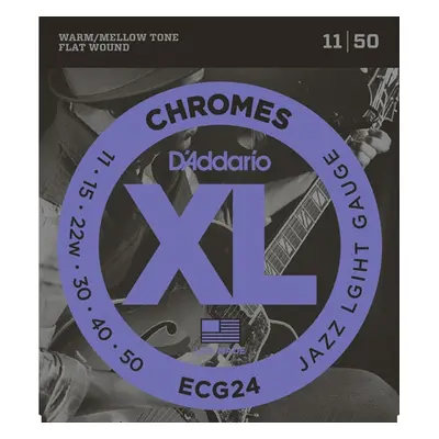 D'Addario ECG24