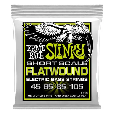 Ernie Ball 2818 Regular Slinky Flatwound Short Scale 45-105