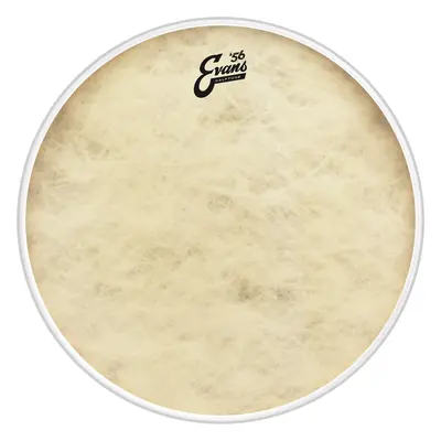 Evans 16" EQ4 Calftone