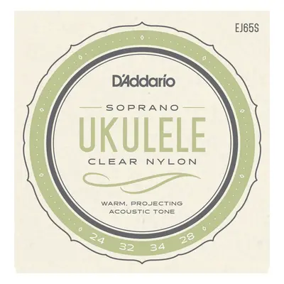 D'Addario EJ65S