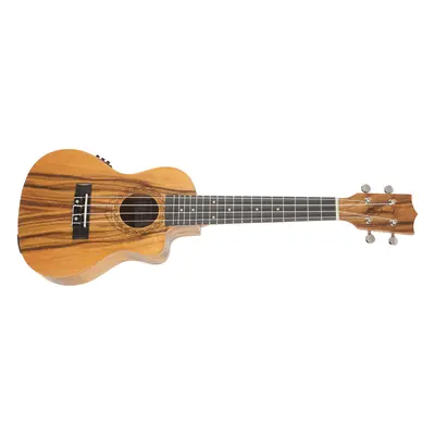 Tanglewood TWT 13 E (rozbalené)