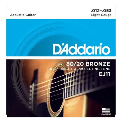 D'Addario EJ11