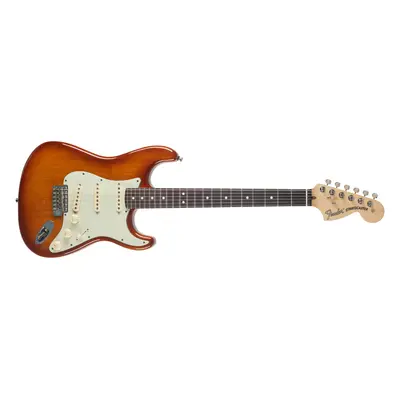 Fender American Performer Stratocaster RW HBST