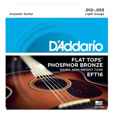 D'Addario EFT16