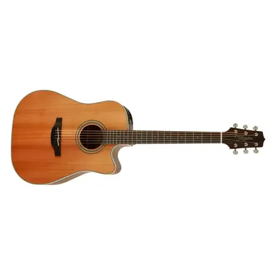 Takamine GD20CE-NS