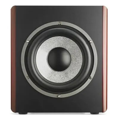 Focal Sub6 Red Burr Ash