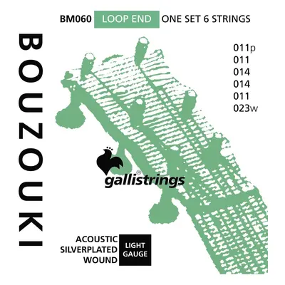 Galli BM60 6-String Silverplated