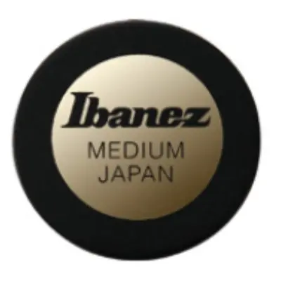 Ibanez PPA1M-BK