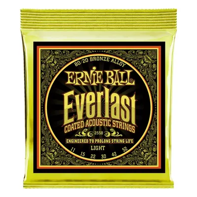 Ernie Ball 2558 Everlast 80/20 Bronze Light