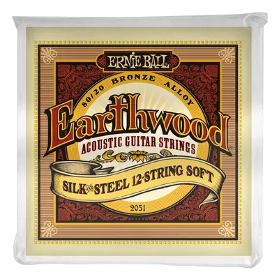 Ernie Ball 2051 Earthwood Silk & Steel 12-String Soft