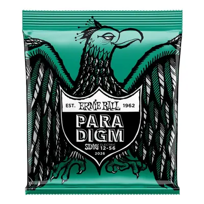 Ernie Ball 2026 Paradigm Not Even Slinky