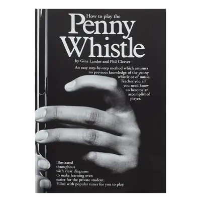 MS How To Play The Penny Whistle