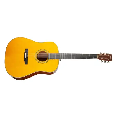 Tanglewood TW40 D AN E