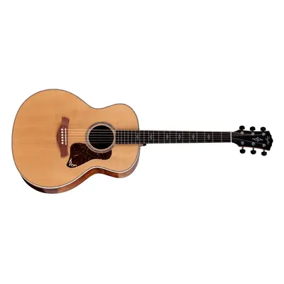 Taylor Gold Label 814e Koa