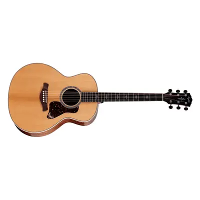 Taylor Gold Label 814e