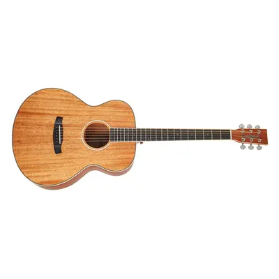 Tanglewood TUN 3