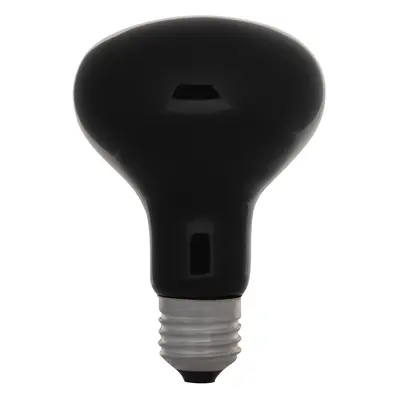 Eurolite UV 75W/230V