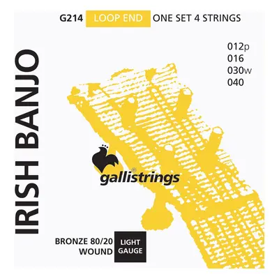 Galli G214 Irish Banjo 4-String