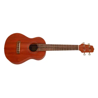 Takamine EGU-C1