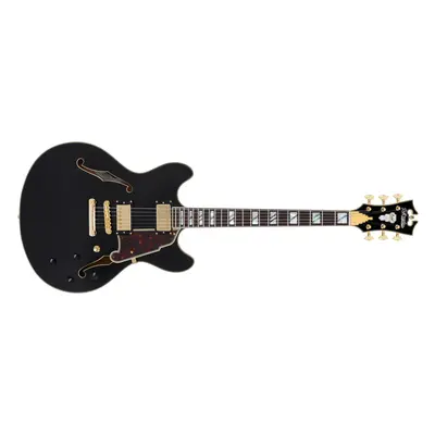 D'Angelico Excel DC Black