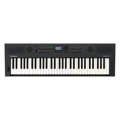 Roland GO:KEYS5-GT (rozbalené)