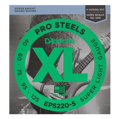 D'Addario EPS220-5